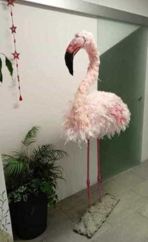 Skulptura Flamingo, velikost 170 cm